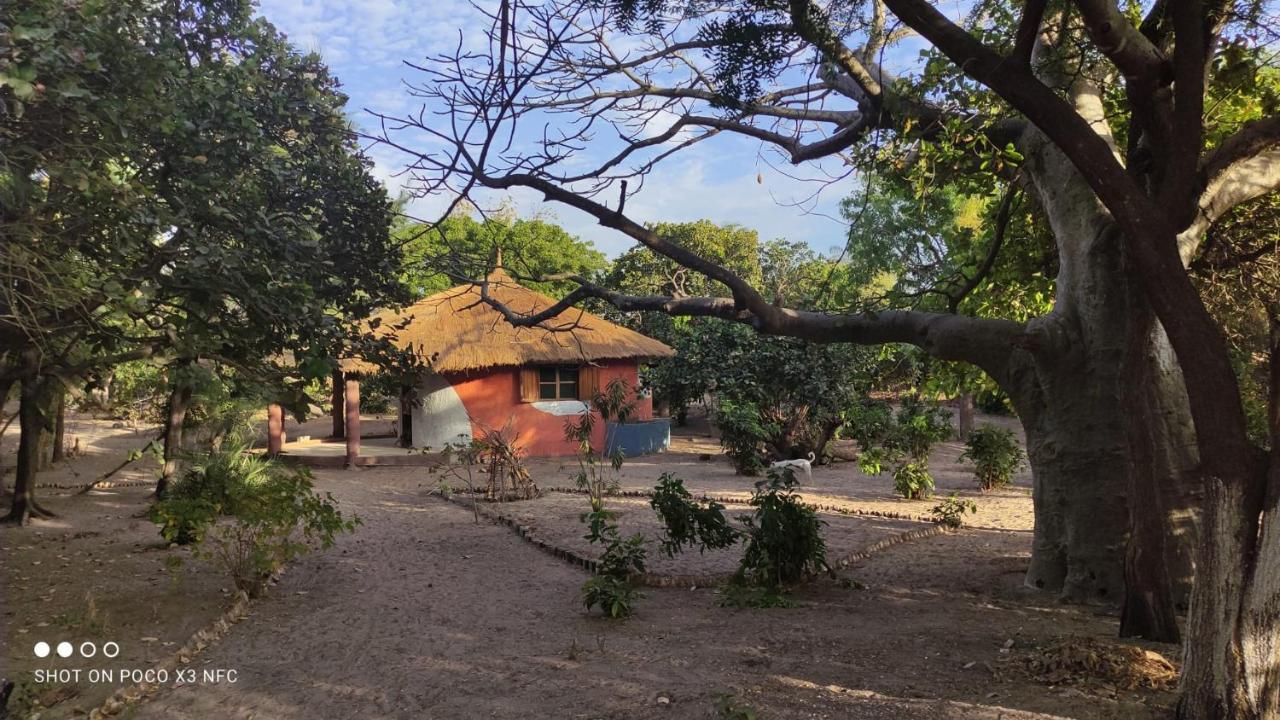 Naturubuntu Kafountine 外观 照片